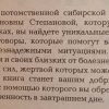 Аннотация к книге "Книга ответов на особый случай"